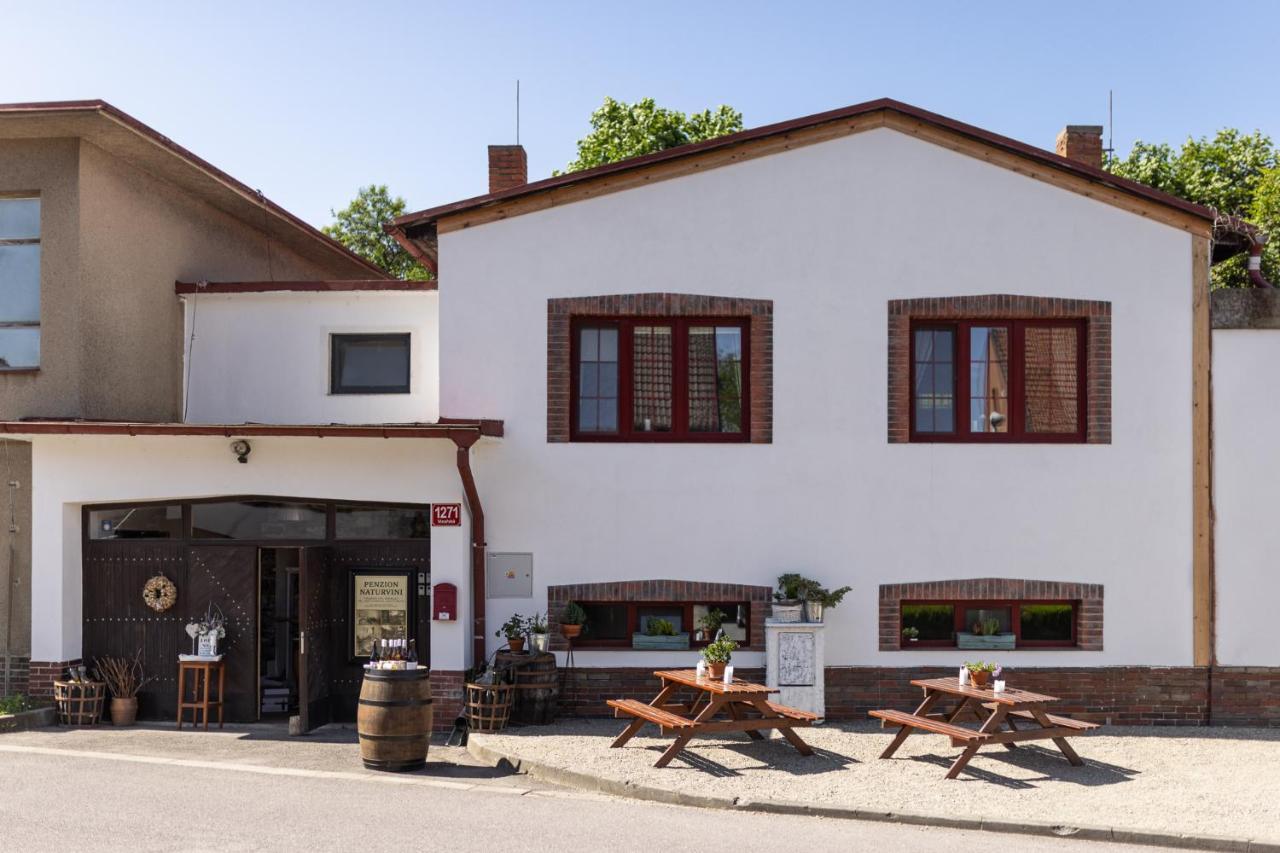Penzion A Vinarstvi Naturvini Mißlitz Exterior foto