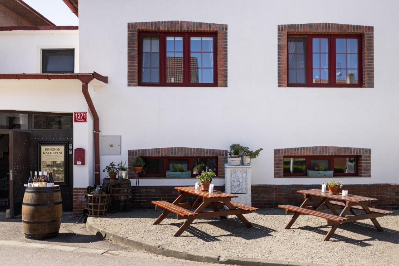Penzion A Vinarstvi Naturvini Mißlitz Exterior foto