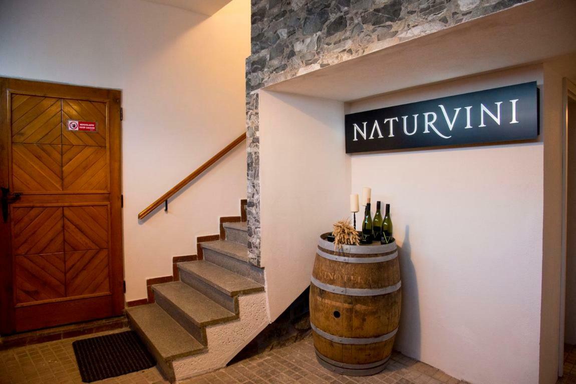Penzion A Vinarstvi Naturvini Mißlitz Exterior foto